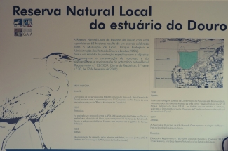 Estatuária da Reserva Natural do Douro